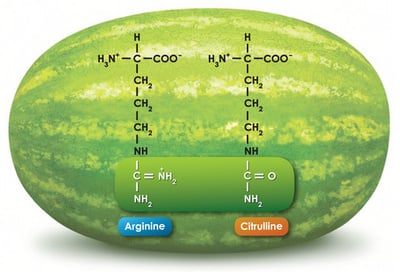 Citrullination and Autoimmunity