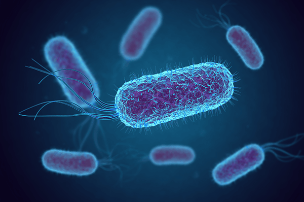 How Do Antibiotics Work?