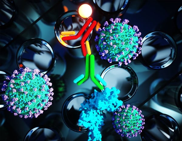 The Science Behind a New ELISA for COVID-19 Seroconversion Detection