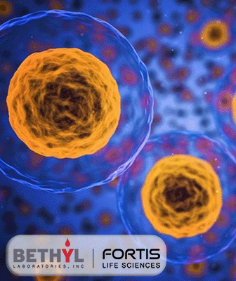 Antibodies for Flow Cytometry