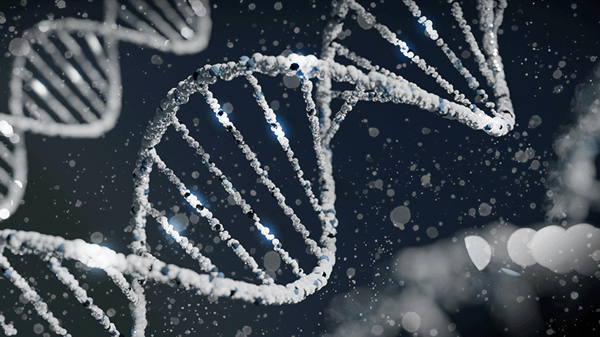 How Epigenetic Changes control our Genes
