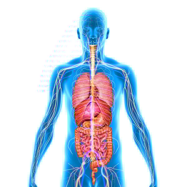 Biologically Active Peptides