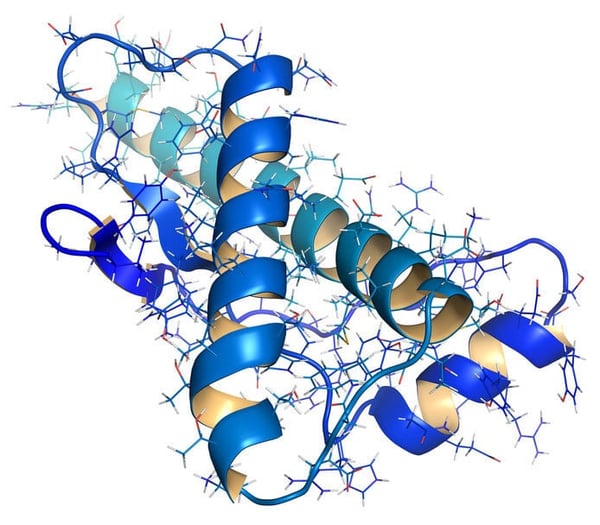 Creutzfeld Jacob Disease and BSE