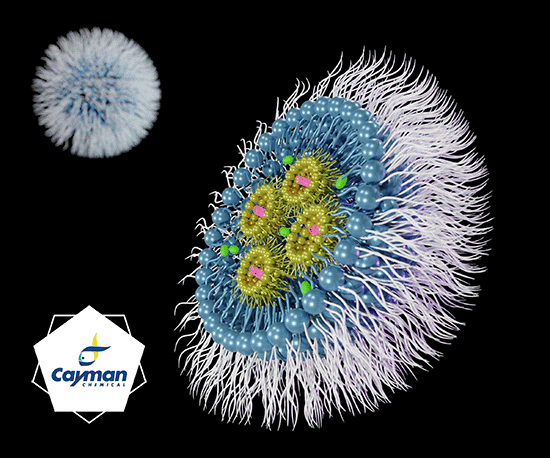 Lipid-based Drug Delivery Development with Cayman – Part 2