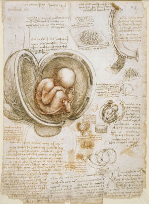 Induced Pluripotent Stem Cells
