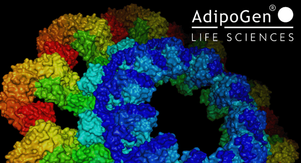 Burning Down the House: Gasdermins as Key Players in Inflammatory Processes and Cell Death