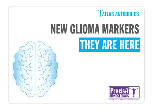 New Atlas Glioma Markers Now Available!