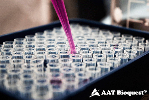 Optimized qPCRs with AAT Bioquest