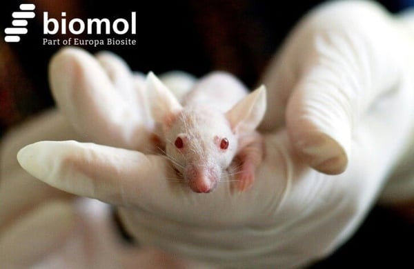 Towards Animal-Free Science: On the Way to Research without Animal Testing?