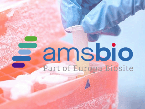 Keep Cool: Safely Preserving Cells with CELLBANKER® from Amsbio