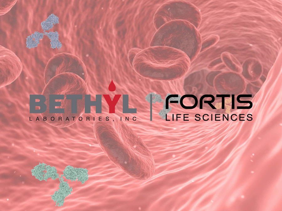 Albumin Quantification Made Easy: Working with Bethyl’s ELISA Kits